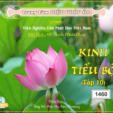Kinh Tiểu Bộ Tập 10