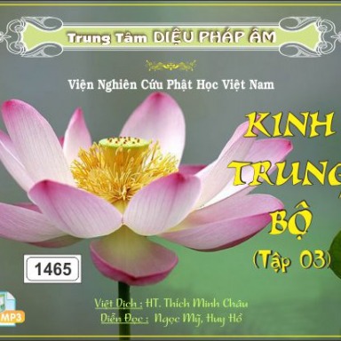 Kinh Trung Bộ tập 3