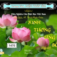 Kinh Tương Ưng Bộ tập 1