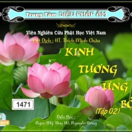 Kinh Tương Ưng Bộ tập 2