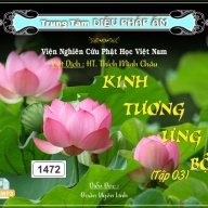 Kinh Tương Ưng Bộ tập 3