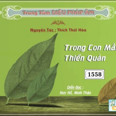 Trong Con Mắt Thiền Quán