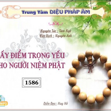 Mấy Điểm Trọng Yếu Cho Người Niệm Phật