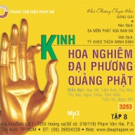 Kinh Hoa Nghiêm Đại Phương Quảng Phật Giảng Giải Tập 8