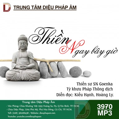 Thiền Ngay Bây Giờ