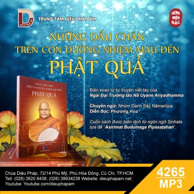 Những Dấu Chân Trên Con Đường Nhiệm Màu Đến Phật Quả (giọng miền Bắc)